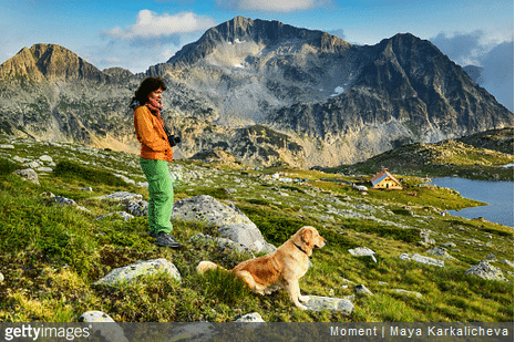 Nos conseils pour préparer une randonnée avec son chien