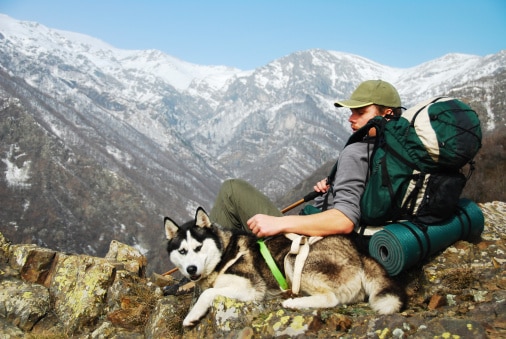 https://www.randonnee-blog.fr/files/2014/07/chien-rando-montagne.jpg