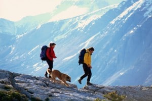 https://www.randonnee-blog.fr/files/2014/07/randonner-avec-chien-300x200.jpg