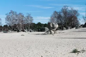 Une rando solidaire pour la forêt de Fontainebleau le 25 octobre