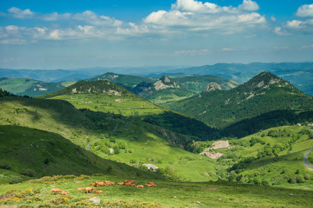 Paysage de l'Auvergne