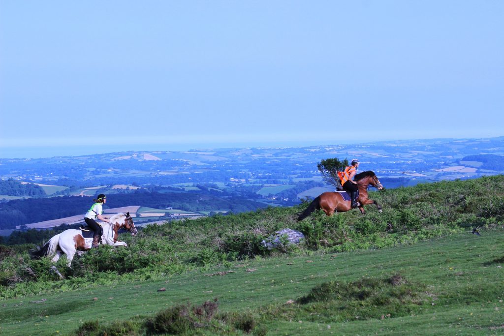 Randonné à cheval au milieu de la nature