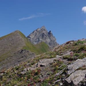 Top 3 des randonnées à faire dans le Queyras